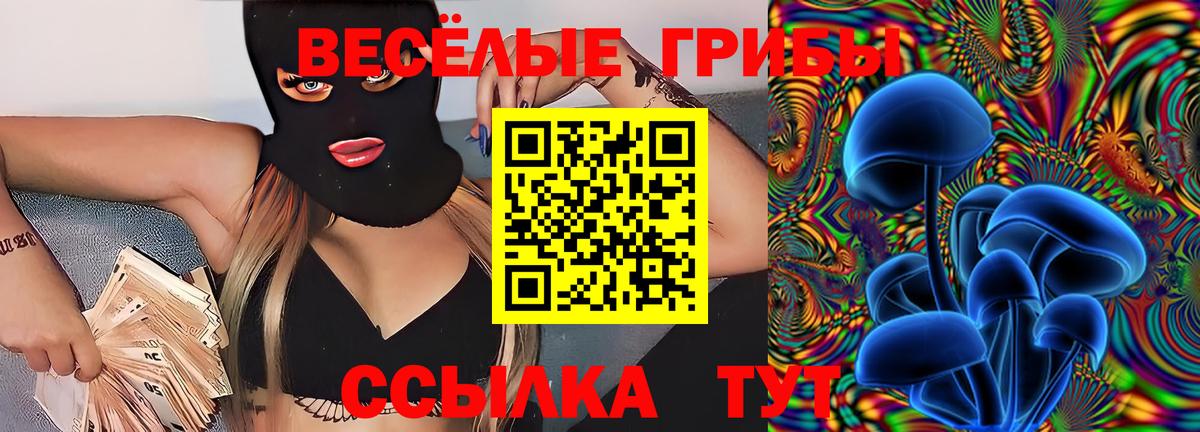 Псилоцибиновые грибы MAGIC MUSHROOMS Ливны