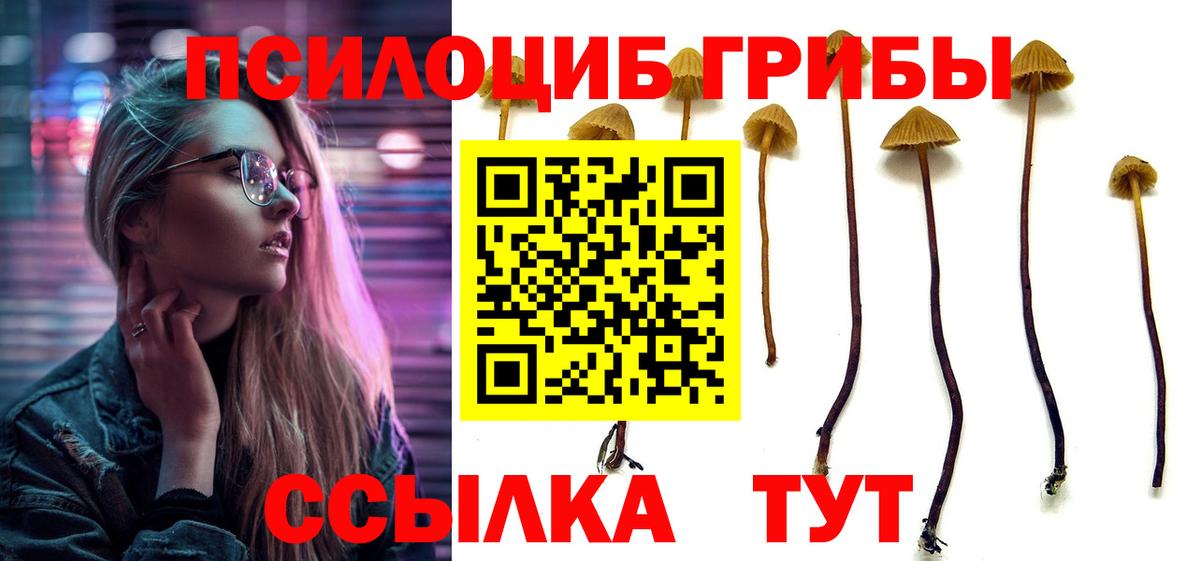 Галлюциногенные грибы Magic Shrooms  Вход с VPN  Галлюциногенные грибы прущие грибы  Ливны 